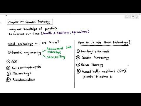 19-1 Introduction to Genetic Technology (Cambridge AS A Level Biology, 9700)