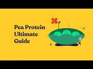 🥗 [ULTIMATE GUIDE] Pea Protein Powder | Protein Coffee