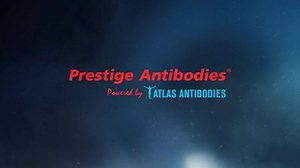 Human Protein Atlas