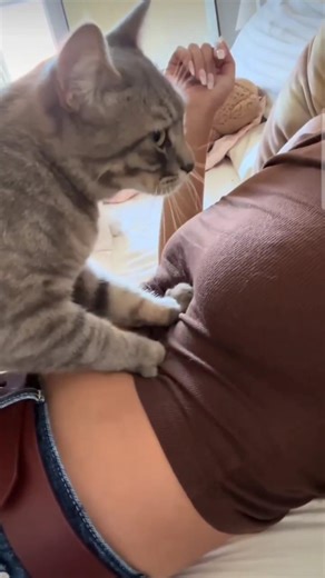 woman belly grumbles #belly #growls #stomach #funny #gurgling #humor