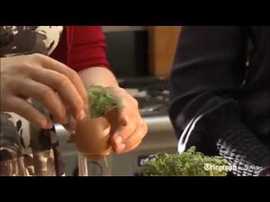 Queen's Diamond Jubilee: How to make Jubilee royal egg cress heads