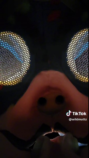 POV: Suiting at a com for beginners Background video: @Yoshi.FPV Edited by: @Alex 🔜 Anthrocon #conventions #furry #furrydog #fyp #foryoupage #furryfyp #foryou #furryforyoupage #fursuit #fursuiter #furrytiktok #dogfursuit #fursona #doggofurry #furryfandom #huskyfursuit #huskyfurry #husky #instafurry #dinodog #dinodogfursuit #dinodogfurry #wildmuttz