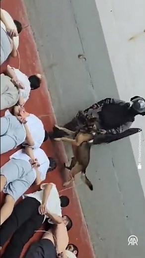 A footage reveals Israeli army torturing Palestinian prisoners in Megiddo prison, located in Israel