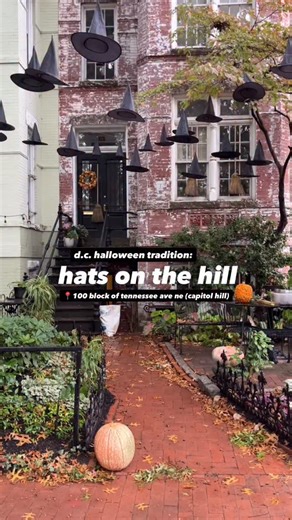 15K views · 31 comments | A D.C. Halloween tradition is Hats on the Hill, dozens of witches’ hats strung along the 100 block of Tennessee Avenue NE on Capitol Hill. If you visit, grab coffee from @WineandButterDC off Lincoln Park and wander the streets of Capitol Hill. You’ll find historic rowhouses decorated for the season. #hatsonthehill #halloweendecoration #thehillishome #thingstodoindc | Austin Graff | Facebook