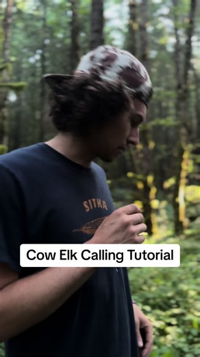 Cow Calling Tutorial !! This is how i cow call and how i choose a call for this specific sound!! The older the call the better the cow calls will sound period!! #huntriven #elkcallingtutorial #elktok #elkhunting #fyp