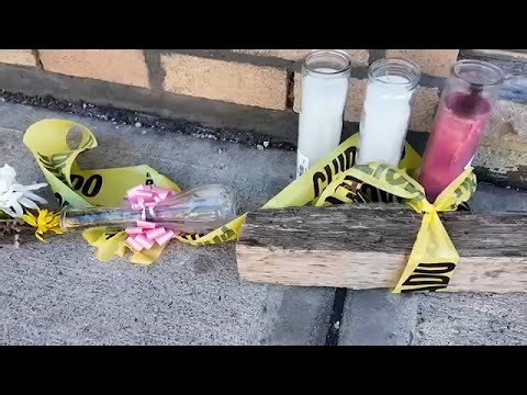 Suspect charged with murder in death of 2 women in Spring Valley