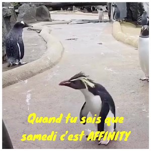 113K views · 462 reactions | Are You Ready ? 藍 | Affinity | Facebook