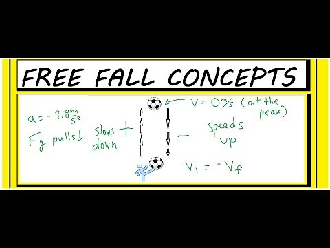 Free Fall Concepts (Concise Overview of Main Concepts)