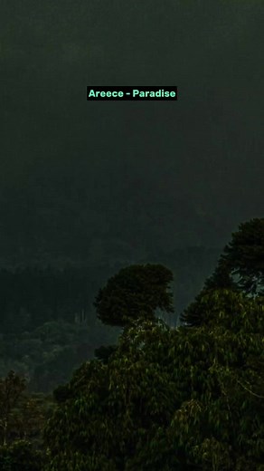 Music saved me on TikTok