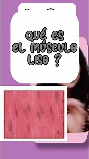 Qué es el músculo liso?