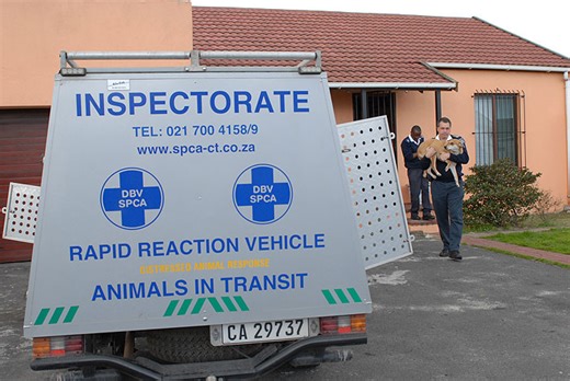 Animal Cops: South Africa (2008) | ČSFD.cz