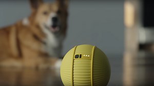 'Ballie' Is a Rolling Pet Robot That Controls Your Home
