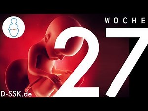 Week 27 pregnancy