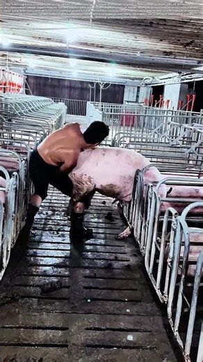 Containing the Leap: When Human Strength Meets 300-Pound Determination