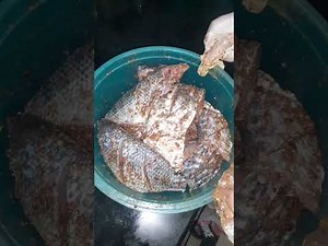 Easy and simple fish fry recipe 😛😛😋😋😋 SECRET RECIPES BY SADIA