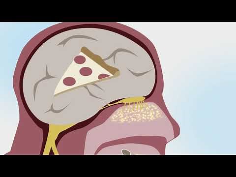 A Tasting of Culinary Science—Taste