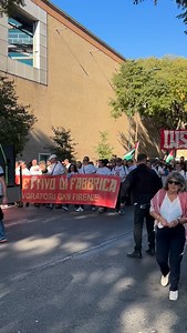 748 reactions · 74 shares | Stefano Cecchi on Reels | Facebook