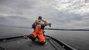 From docks to ledges - here are the best fish catches from day two on Kentucky Lake. | MLF5