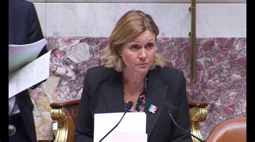 VIDÉO. L'Assemblée ne vote pas le budget de la Sécu faute de temps, le texte est envoyé au Sénat