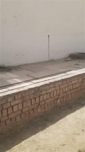 apna college Asha international Institute of marine