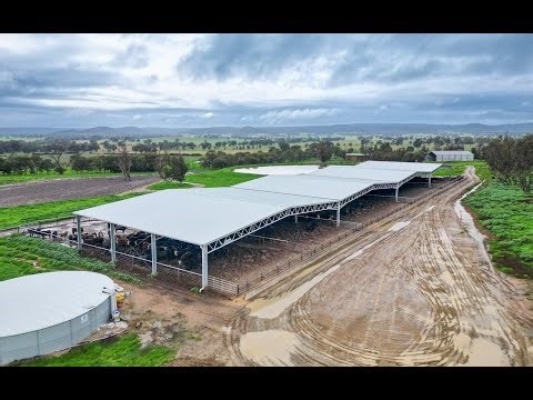 Long Gully Livestock feedlot