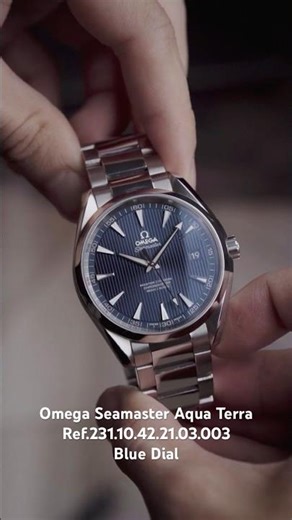 Omega Seamaster Aqua Terra Master Co-Axial Ref.231.10.42.21.03.003