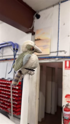 The struggle is real... re-doing a GVM upgrade because someone else didn’t care that much 🤦‍♂️🔧 #GVMUpgrade #nissan #y62patrol #nissanpatrol #patroly62 #nissanpatrol4x4 #y62patrolownersclubofaustralia | MORE 4x4