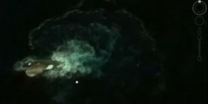 Google Earth user finds giant 'mysterious creature' near Antarctica