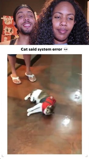 Cat said system error. 💀