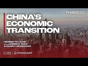 China's Economic Transition