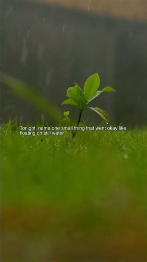 Rain Drops On Sprouting Leaf Fixed 20260413 - rain sounds with ambient music #Shorts