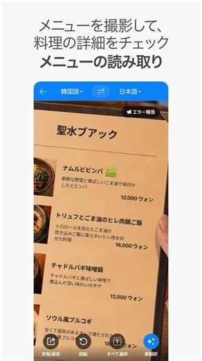 Papago画像翻訳