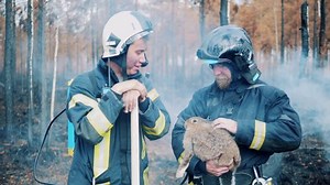 Male firefighters are stroking a rabbit rescued from fire