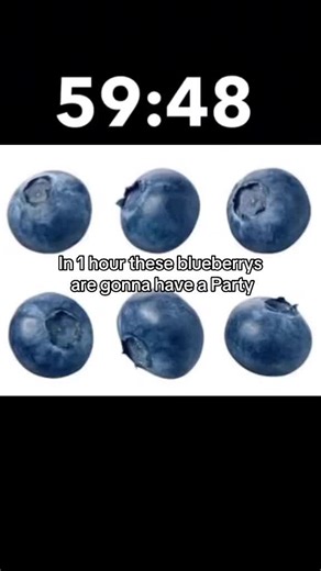 The end 🎊 #blueberry | Blueberry