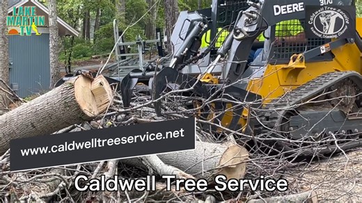 Family Business with over 30 years in the tree business!! Caldwell Professional Tree Service LLC is the one to call for all your tree needs! | Lake Martin TV