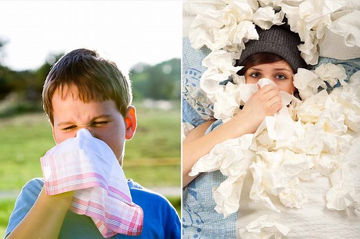 Mouchoirs en tissu ou mouchoirs en papier, lequel est réellement le plus écologique (et hygiénique) ?