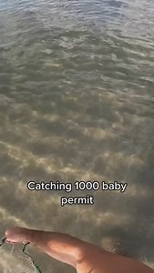 7.2K views · 648 reactions | Crazy cast net throw!  • #fishing #fishingviral #xyzbca #explorepage #explore #fishingclips #fishingcontent #fishinglife | Beyond Braid | Facebook