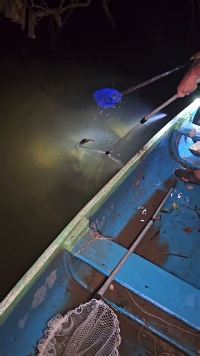Night Shrimp hunting|night fishing |fishing video|Fishing tips|Traditional Fishing |village Fishing