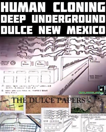 Embrace Me Arise From WeakDaze | The Dulce Papers described genetic experimentation, development of human-ET hybrids, use of mind control through advanced computers, cold... | Instagram