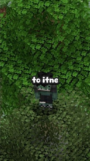 How To Get Hearts In This Minecraft Server #mcserver #minecraft #minecrafthindi