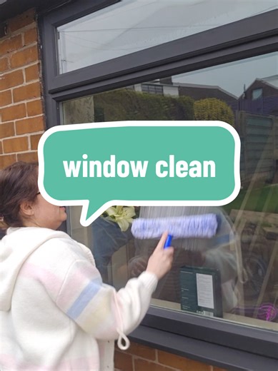 Expert Window Cleaning Hacks for a Squeaky Clean Home