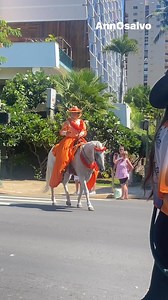 3.3K views · 128 reactions | Aloha Festival Parade in Waikiki!  #aloha #alohaparade #waikiki #festival #festivalparade #hawaii | Ann Osalvo | Facebook