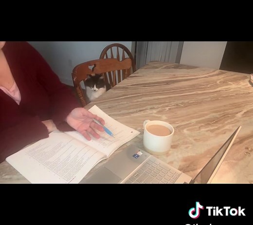 Have you failed a nursing school exam? You’re not bad at nursing — you just weren’t taught how to think through the questions. I’m a DNP Nurse with 20 years experience. Follow me and I will help you breakdown the questions and teach you test taking strategies. #nursingschool #nursingstudent #nclex #nclexprep #fyp