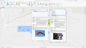 Pinning pop-ups in ArcGIS Pro