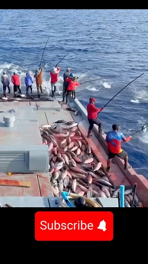 Amazing Ocean Fishing Scene! | Learn Science Naturally #learn_science_naturally #amazing_ocean_fishing_scene Welcome to Learn Science Naturally! 🌍 Discover the amazing world of science, nature, and everyday experiments — explained in a simple and beautiful way. Our goal is to make science easy to understand, enjoyable to learn, and inspiring to explore. At Learn Science Naturally, we create videos about: 🔬 Physics, Chemistry, and Biology — explained through real-life examples 🌿 Nature-based s