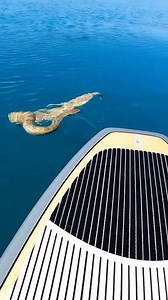 567K views · 1.7K reactions | Close call! If the snake had bitten, he would've died before getting help!   @Brodie Moss on TikTok | Matador Network | Facebook