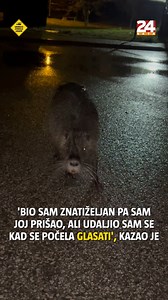 2M views · 6.2K reactions | Zagrepčanin snimio neobično biće: 'Trčao sam na Trešnjevci i samo je iskočila pred mene' #24sata | 24sata | Facebook
