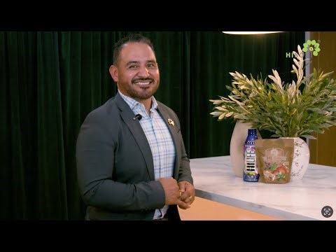 Mi Historia Hibody Isidro Ramírez