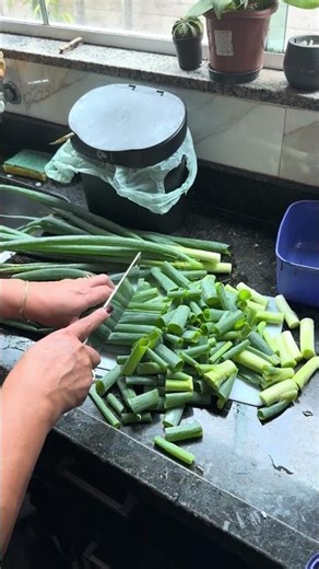 Cutting string onion most satisfty sounds