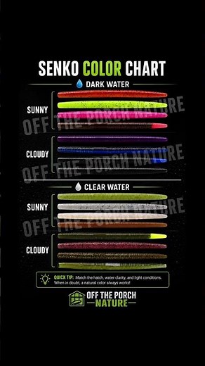 Senko Color Chart That Catches Bass EVERY TIME 🎣 (Must Know Colors) #shorts